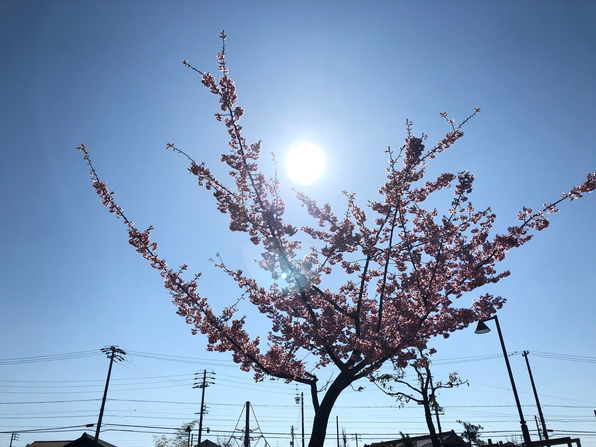 3月12日(木曜日)も10時～20時まで営業してます(´▽`*)/ペアでのご予約ＯＫ♪♪