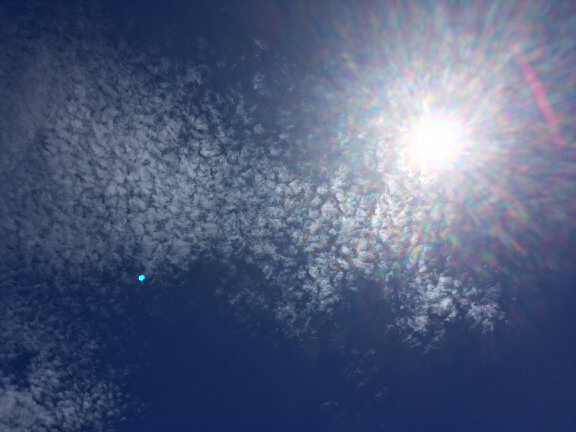 8月の猛暑も気をつけて！